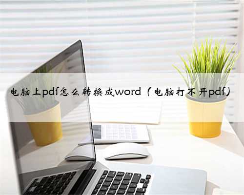 电脑上pdf怎么转换成word（电脑打不开pdf）