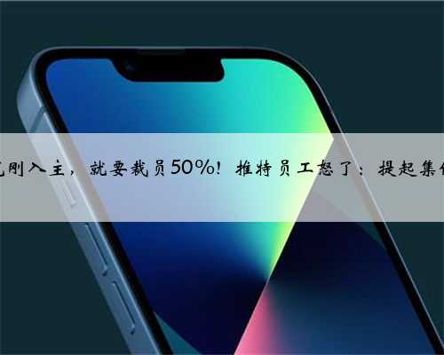 马斯克刚入主,就要裁员50%!推特员工怒了:提起集体诉讼