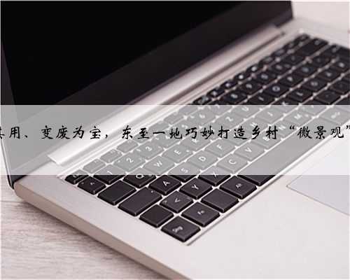 物尽其用、变废为宝，东至一地巧妙打造乡村“微景观”……