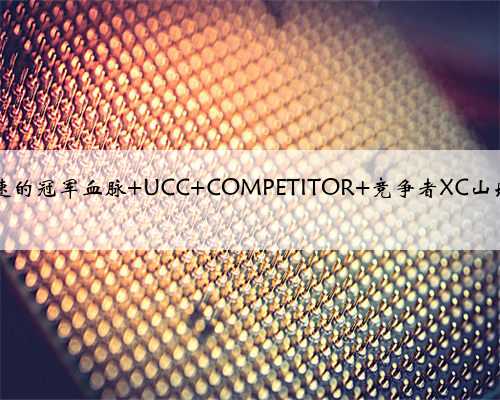 双盘24速的冠军血脉 UCC COMPETITOR 竞争者XC山地车评测