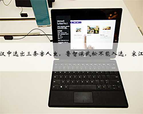 在梁山好汉中选出三条害人虫，鲁智深武松不能入选，宋江也会落榜