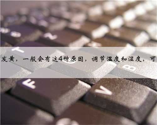 兰花叶子发黄，一般会有这4种原因，调节温度和湿度，可有效解决