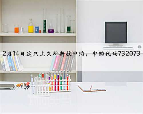 2月14日这只上交所新股申购，申购代码732073