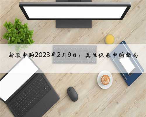 新股申购2023年2月9日：真兰仪表申购指南
