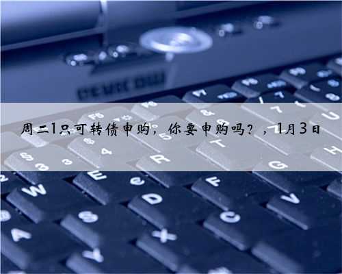 周二1只可转债申购，你要申购吗？，1月3日