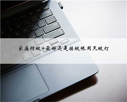 家庭防蚊 最好还是挂蚊帐用灭蚊灯