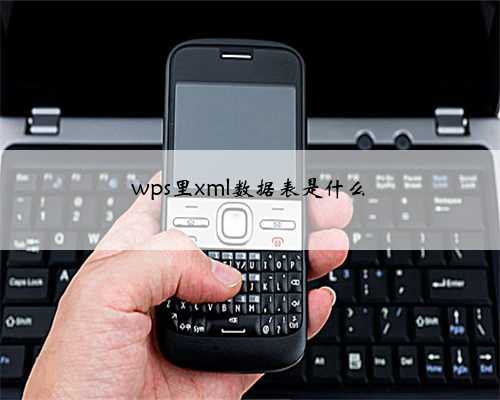 wps里xml数据表是什么