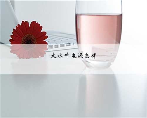大水牛电源怎样