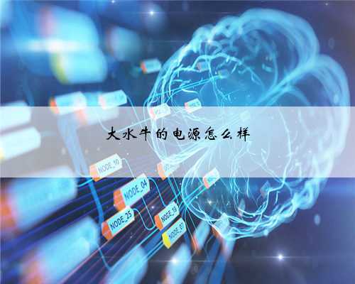 大水牛的电源怎么样