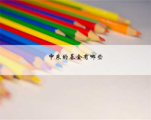 中东的基金有哪些