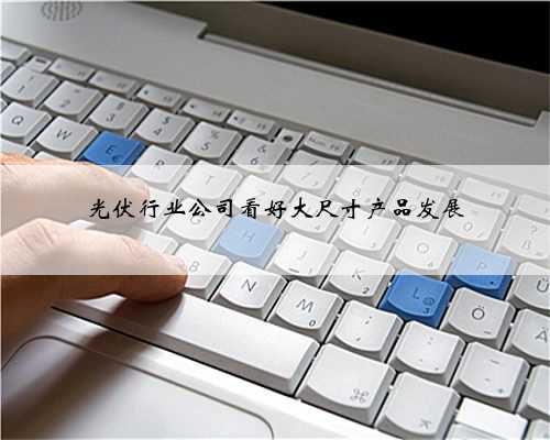 光伏行业公司看好大尺寸产品发展