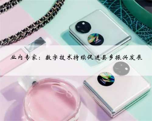 业内专家：数字技术持续促进县乡振兴发展