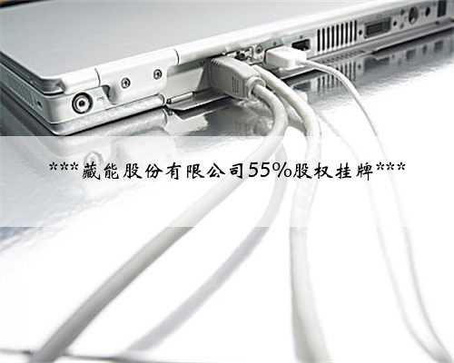 ***藏能股份有限公司55%股权挂牌***