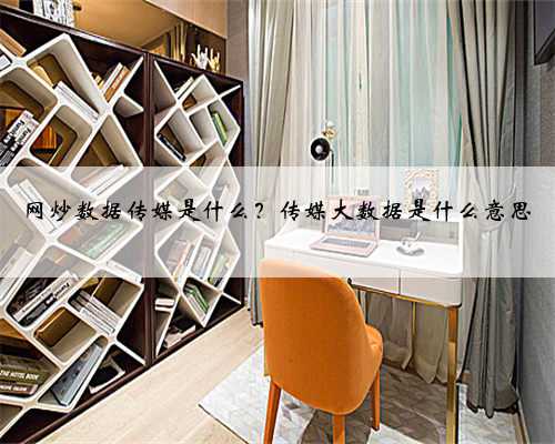 网炒数据传媒是什么？传媒大数据是什么意思