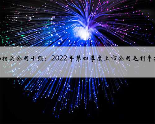 rcep相关公司十强：2022年第四季度上市公司毛利率排名