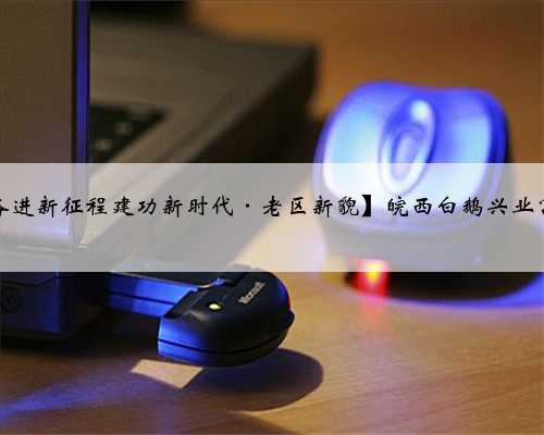 【奋进新征程建功新时代·老区新貌】皖西白鹅兴业富民