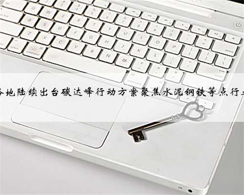 各地陆续出台碳达峰行动方案聚焦水泥钢铁等点行业