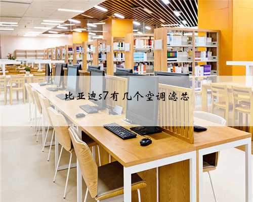 比亚迪s7有几个空调滤芯