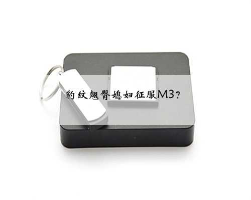 豹纹翘臀媳妇征服M3？