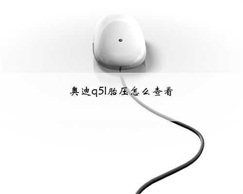 奥迪q5l胎压怎么查看