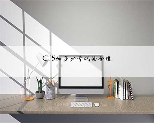 CT5加多少号汽油合适