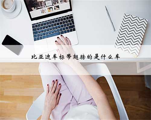 比亚迪车标带翅膀的是什么车