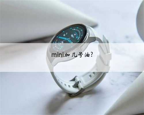 mini加几号油?