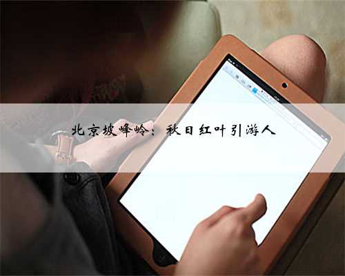 北京坡峰岭：秋日红叶引游人