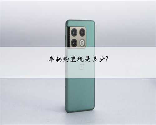 车辆购置税是多少?