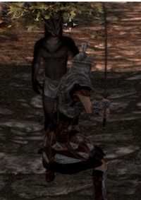 《上古卷轴5》联机详细教程