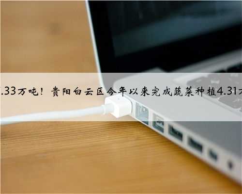 产量7.33万吨！贵阳白云区今年以来完成蔬菜种植4.31万亩次