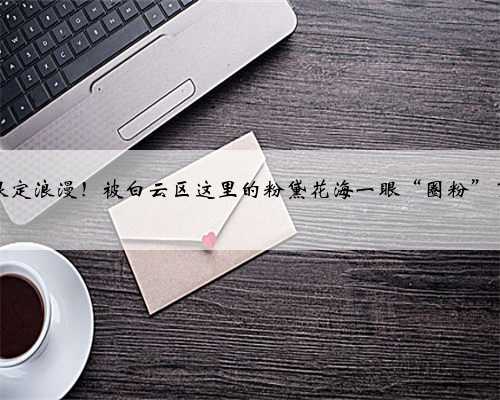 限定浪漫！被白云区这里的粉黛花海一眼“圈粉”了