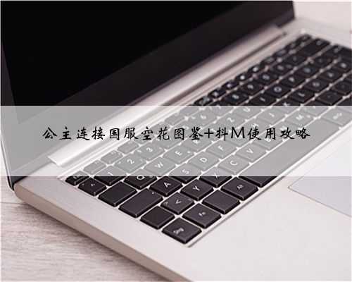 公主连接国服空花图鉴 抖M使用攻略