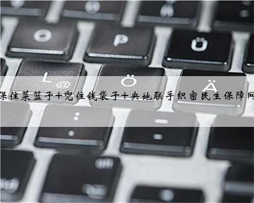 保住菜篮子 兜住钱袋子 央地联手织密民生保障网