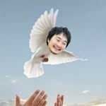 净TM扯淡！这个鬼才编剧和他的荒诞推理世界