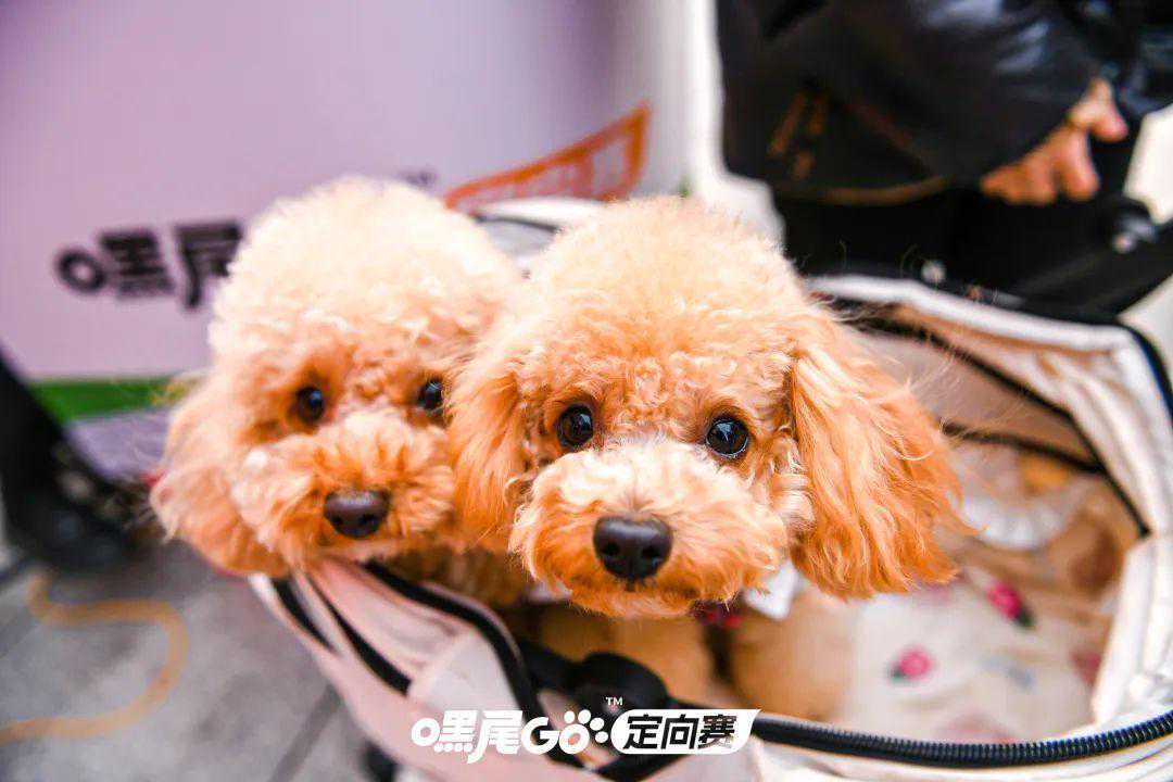 嘿尾GO！这个周末，大宁音乐广场超火热！｜跨年迎新购物季